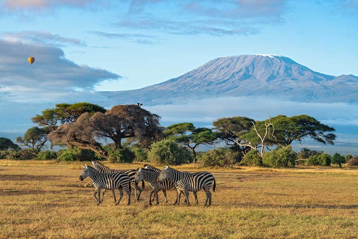 Som Moulick/shutterstock.com