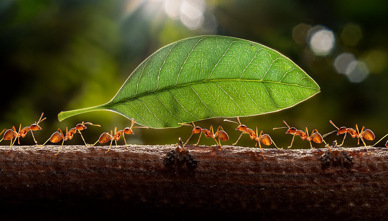 Drone Swarms Are Coming: The Future of Autonomous Operations - Autonomy ...