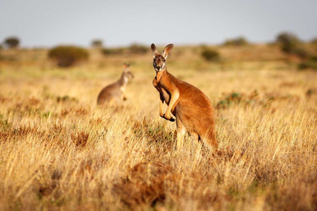 Luke Shelley/shutterstock.com
