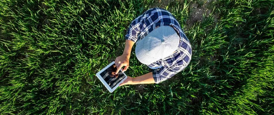 David Herraez Calzada/shutterstock.com