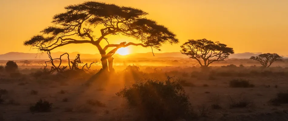 Smcgowan_photography/shutterstock.com