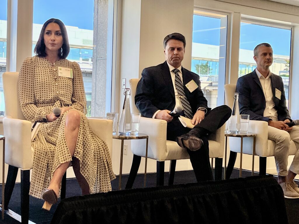 Dawn Zoldi/P3 Tech Consulting