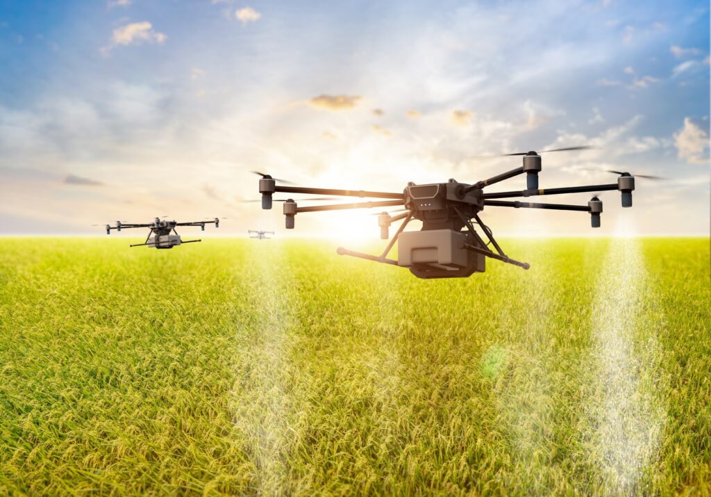 Phonlamai Photo/shutterstock.com Phonlamai Photo/shutterstock.com