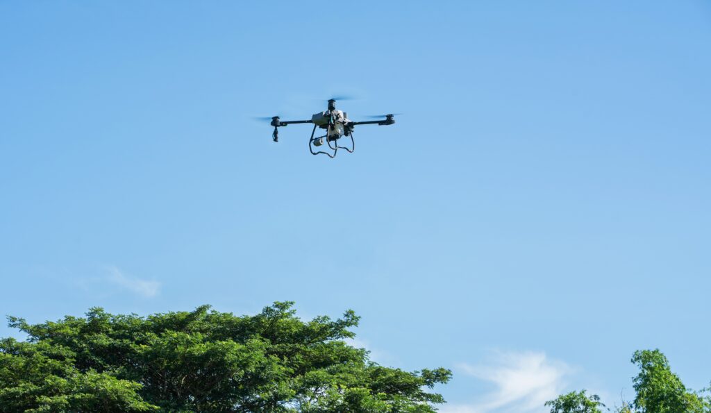 nednapa/shutterstock.com