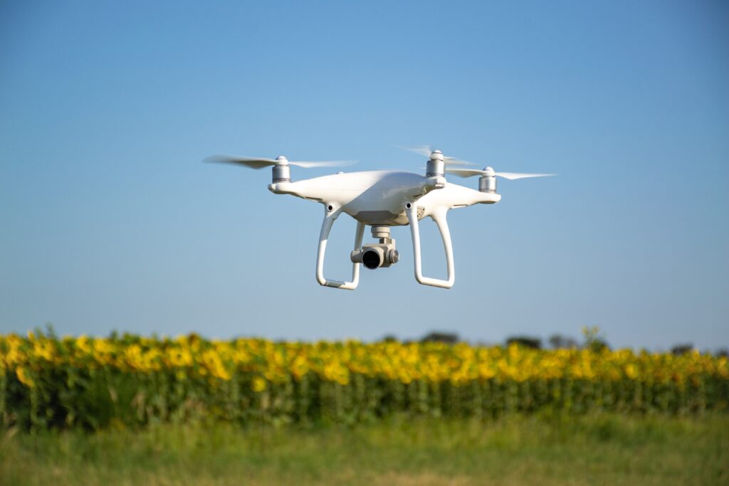 Valentino22/shutterstock.com Valentino22/shutterstock.com