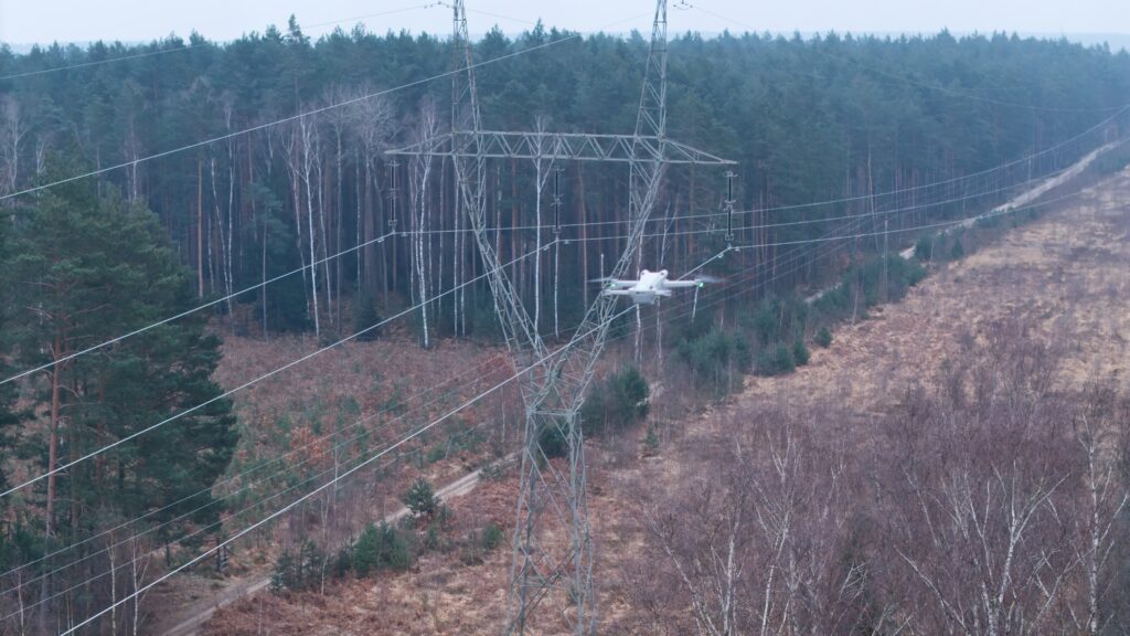 Below the Sky/shutterstock.com Below the Sky/shutterstock.com