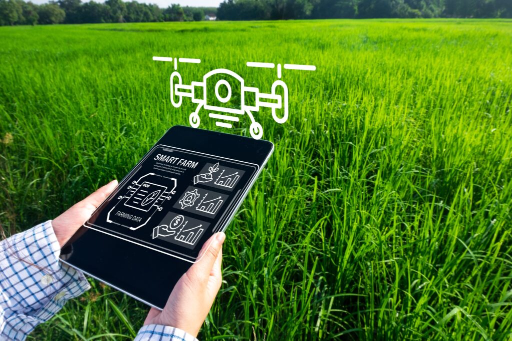 Toey Andante/shutterstock.com Toey Andante/shutterstock.com