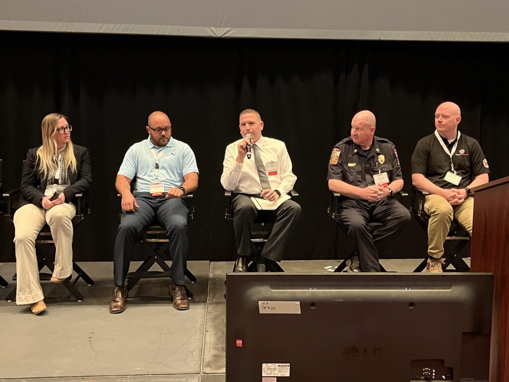 Dawn Zoldi/P3 Tech Consulting