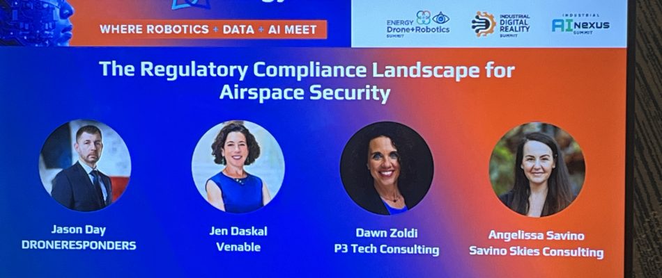 Dawn Zoldi/P3 Tech Consulting